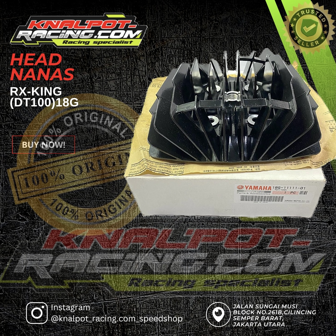 HEAD NANAS RXKING (DT100)18G